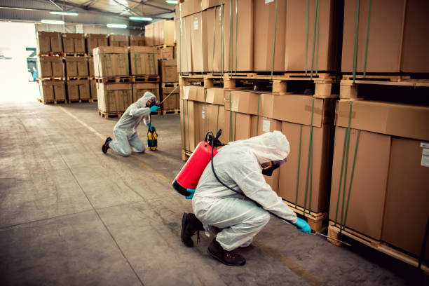 Wasp Removal Services in Franklinville, NJ