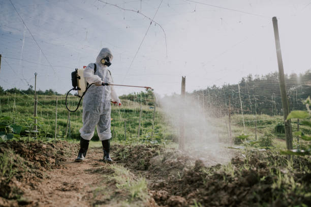 Best Best Pest Control Companies  in Franklinville, NJ