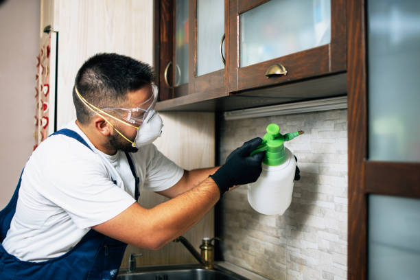 Best Pest Control for Businesses  in Franklinville, NJ