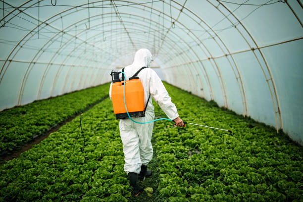 Best Pest Prevention Services  in Franklinville, NJ