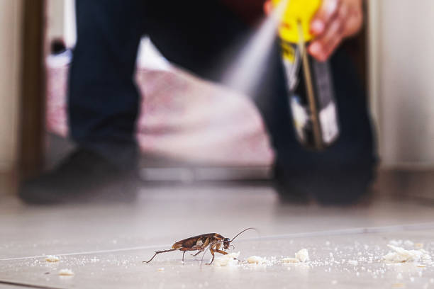 Best Emergency Pest Control  in Franklinville, NJ